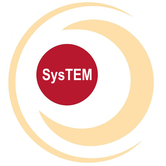 SysTEM Logo