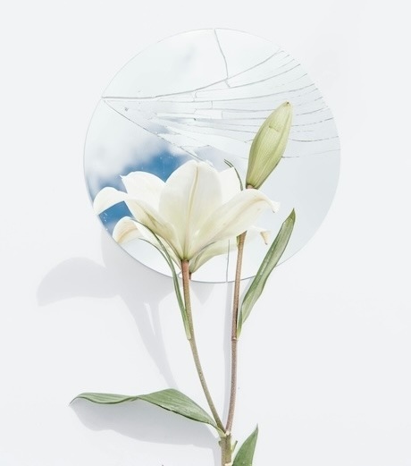 Blühende Blume